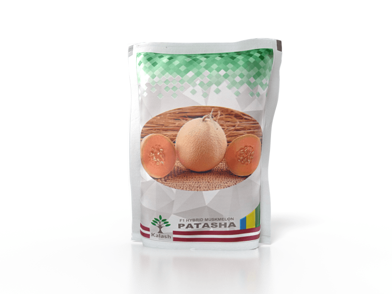 Patasha F1 Hybrid Muskmelon (Kalash Seeds) - Farmers Stop