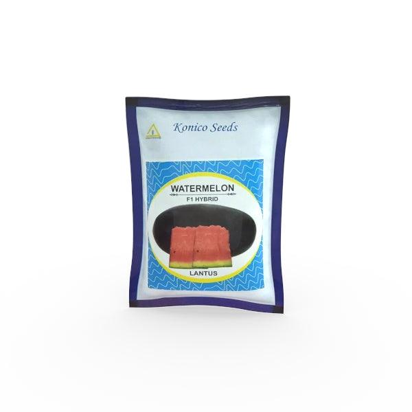 Lantus F1 Hybrid IceBox Watermelon - High-Yield, Disease-Tolerant Fruit Seed | Konico Seeds - Farmers Stop