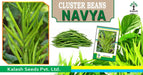 Navya Cluster Beans (Guar) (Kalash seeds) - Farmers Stop