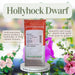Hollyhock Dwarf Mix (AsiaPacific Seeds, New Zealand) - Farmers Stop