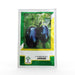 Janak F1 Hybrid Brinjal (KALASH SEEDS) - Farmers Stop