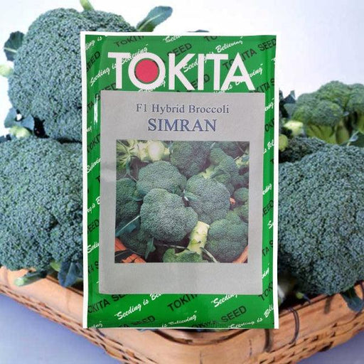 SIMRAN F1 Hybrid Brocolli (Tokita Seeds) - Farmers Stop