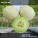 Meetha/मीठा Imp. F1 Muskmelon Honey Dew Type (Konico Seeds) - Farmers Stop