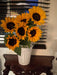 Ornamental Sunflower Sunshine F1 Hybrid (Known You Seeds, Taiwan) - Farmers Stop