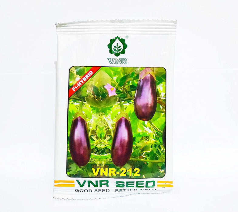 vnr 212 f1 hybrid brinjal (vnr seeds)